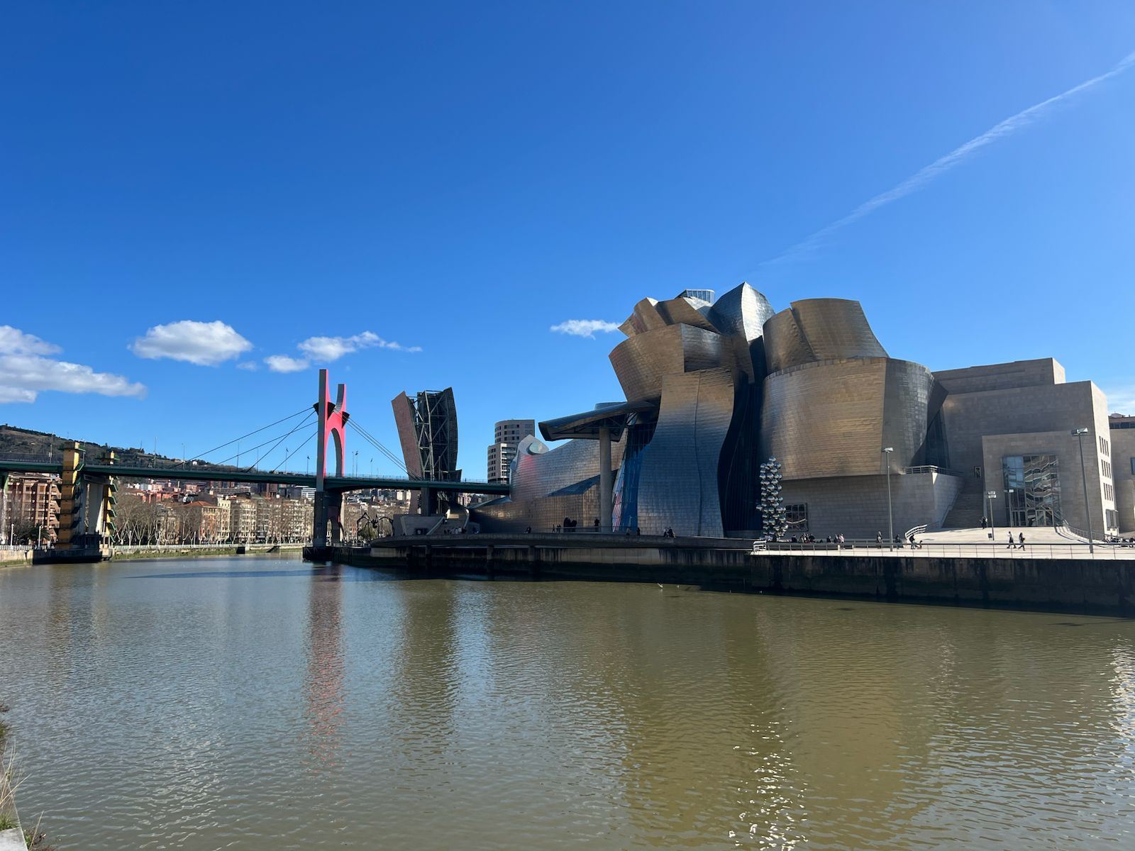 La ría de Bilbao con el museo Guggenheim y el puente de La Salve